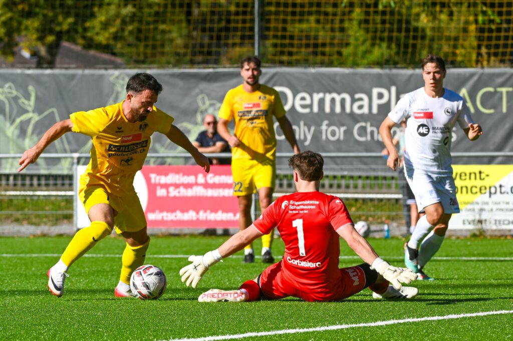 whatsapp bild 2025 09 30 um 19.41.07 72fdb793 whatsapp bild 2025 09 30 um 19.41.07 72fdb793