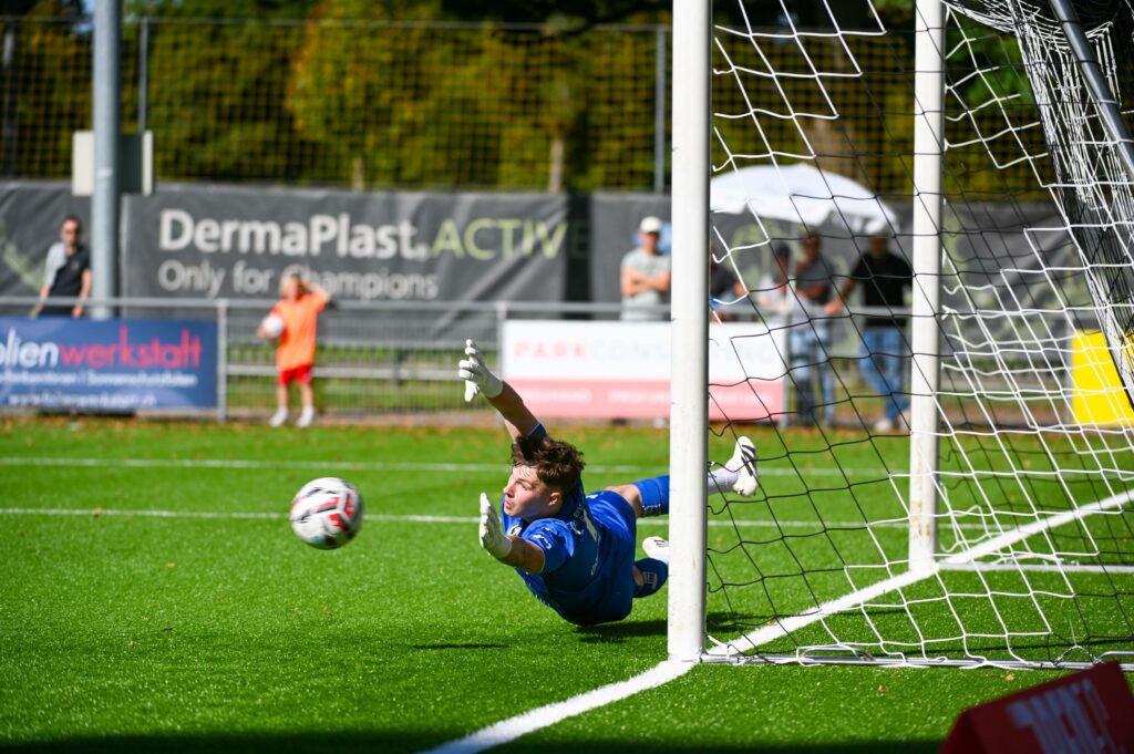 whatsapp bild 2025 09 30 um 19.41.07 f7c5e893 whatsapp bild 2025 09 30 um 19.41.07 f7c5e893